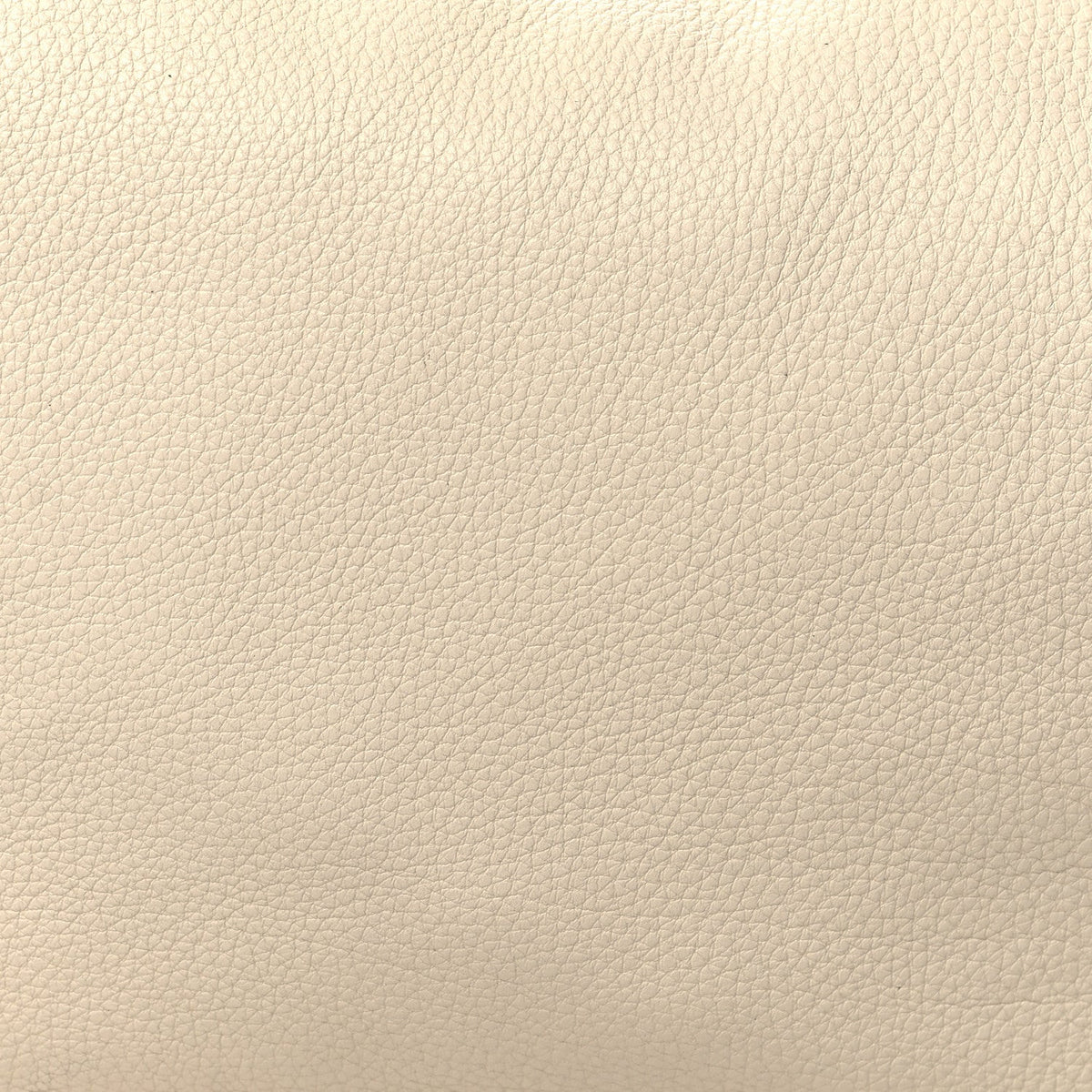 Grained Calfskin Medium Everyday Shoulder Bag Ivory