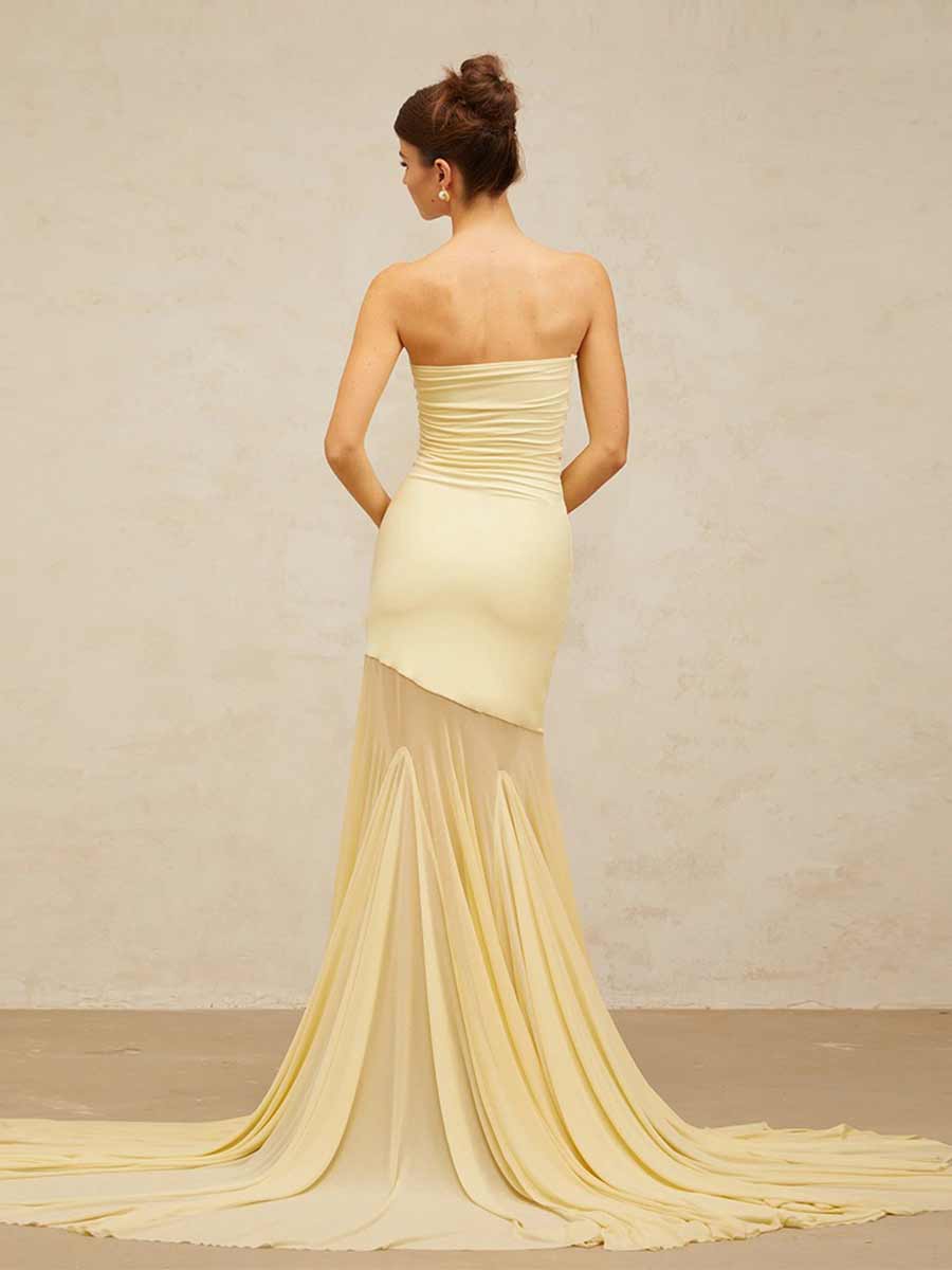 Gracelyn Ice Silk Mesh Strapless Maxi Dress