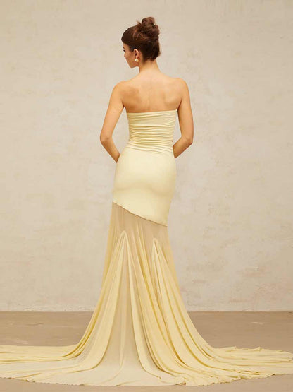 Gracelyn Ice Silk Mesh Strapless Maxi Dress