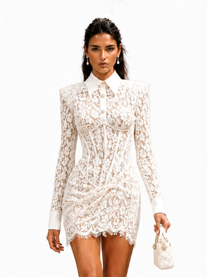 Olive Elegant Long-Sleeve Lace Mini Dress
