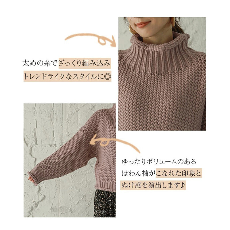 Long Sleeves Loose Solid Color High Neck Knitwear Sweater