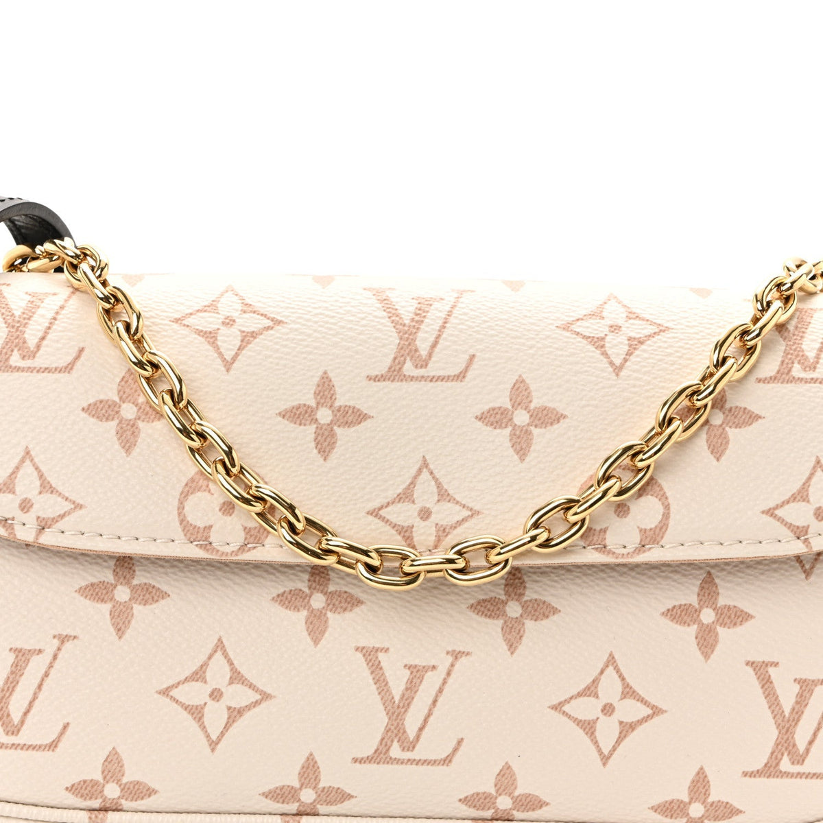 Monogram Dune Ivy Wallet On Chain