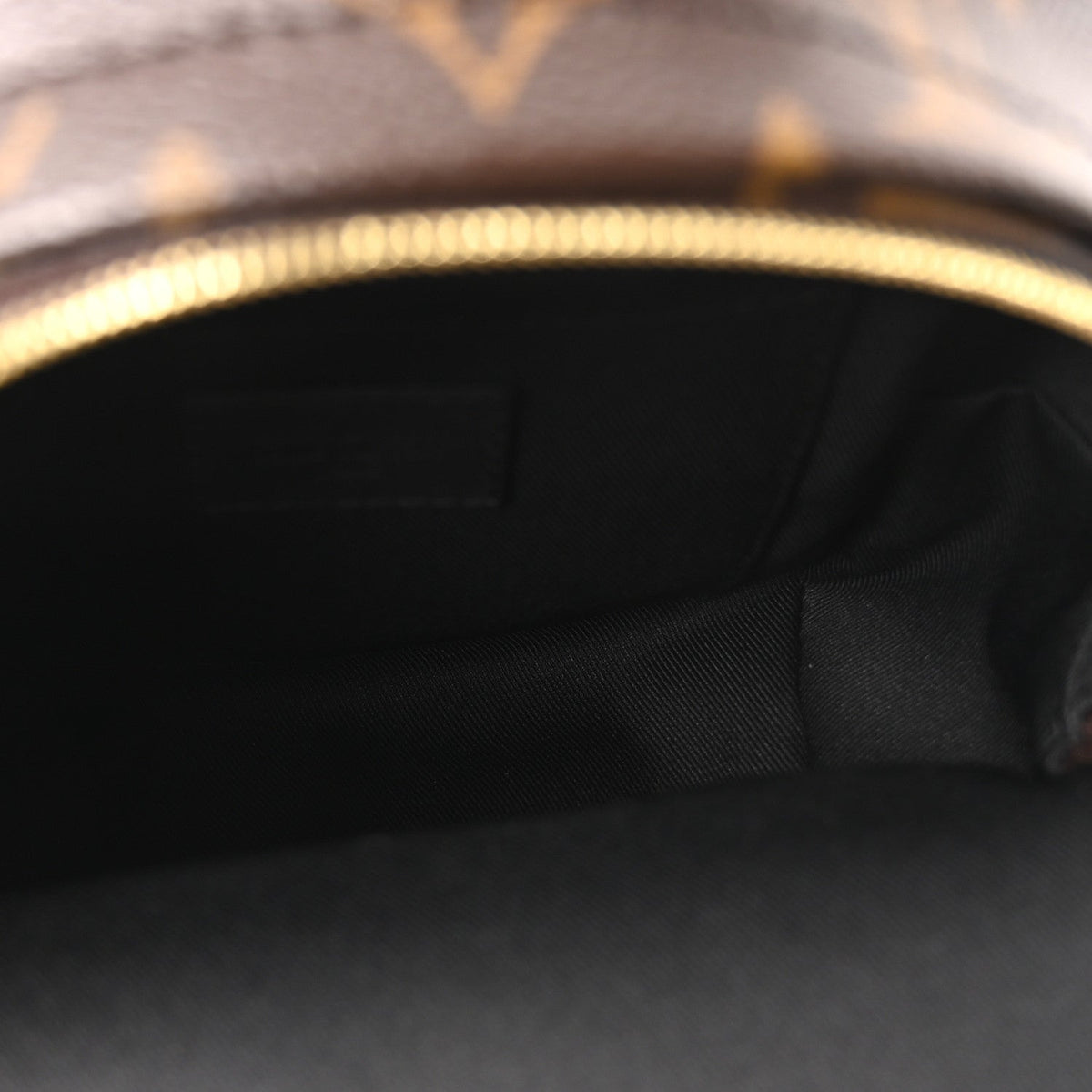 Monogram Palm Springs Backpack Mini