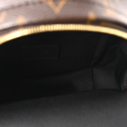 Monogram Palm Springs Backpack Mini