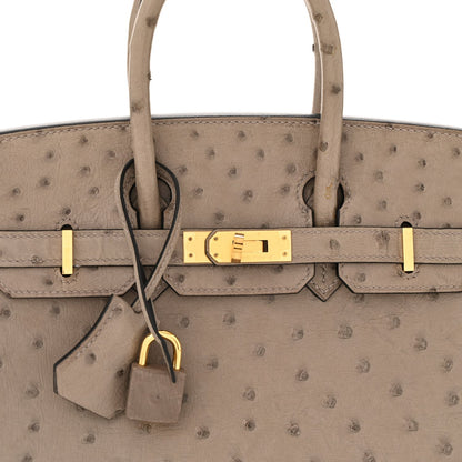 Ostrich Birkin 25 Gris Tourterelle