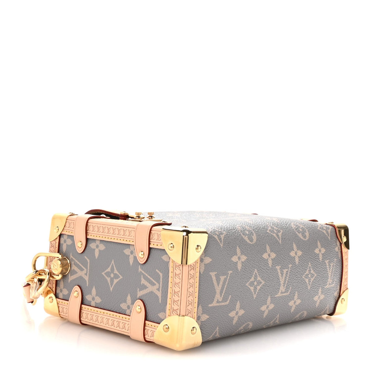 Monogram Side Trunk MM