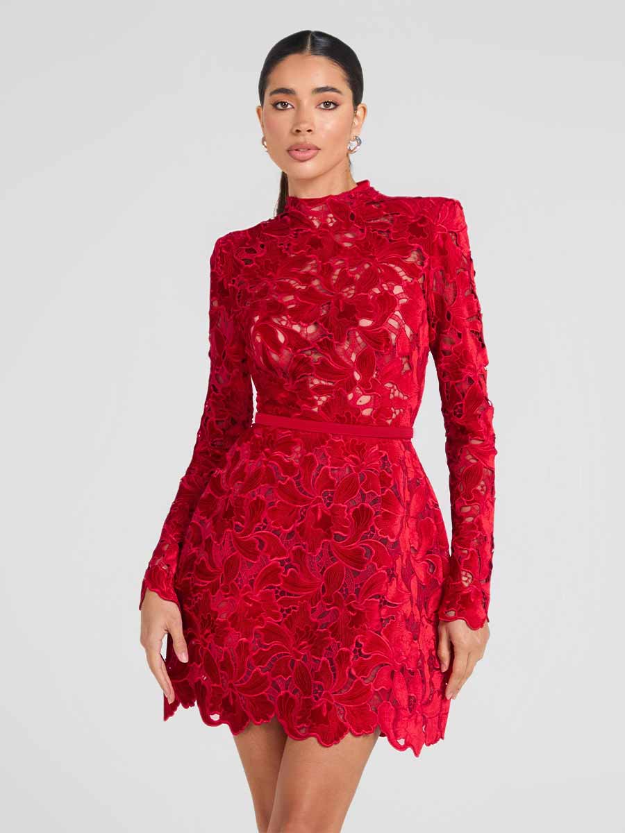 Delaney Long Sleeved Lace Mini Dress