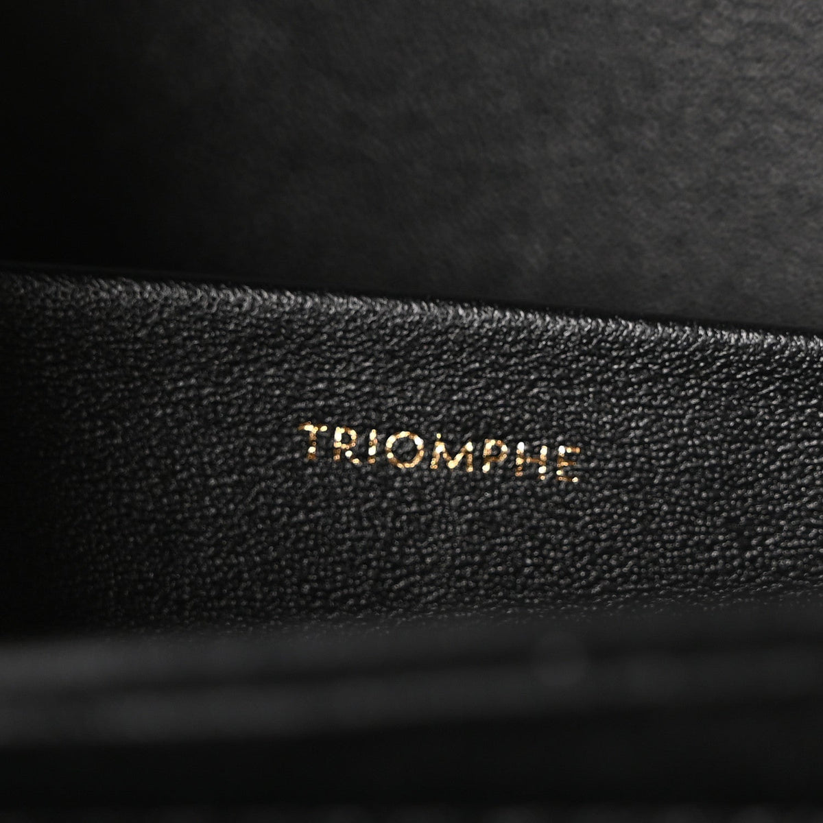 Shiny Calfskin Medium Triomphe Black