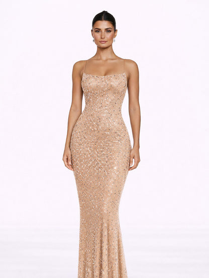 Alana Sheer Embellished Maxi Dress