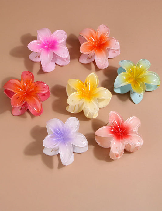 Vintage Colorful Flower Hair Claw Clip