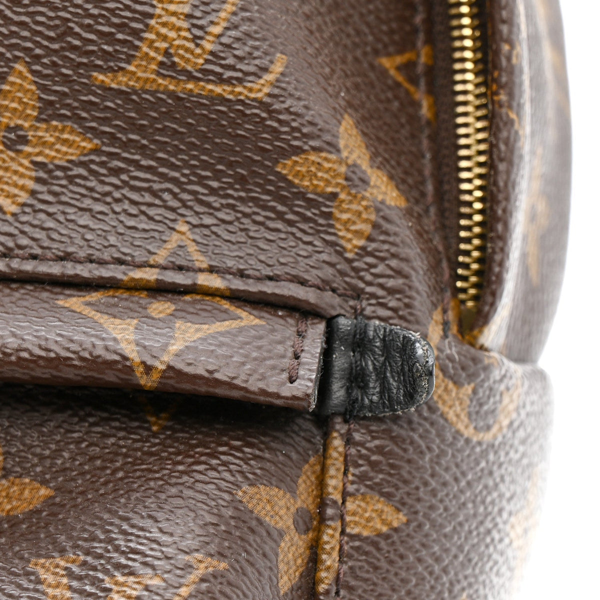 Monogram Palm Springs Backpack Mini