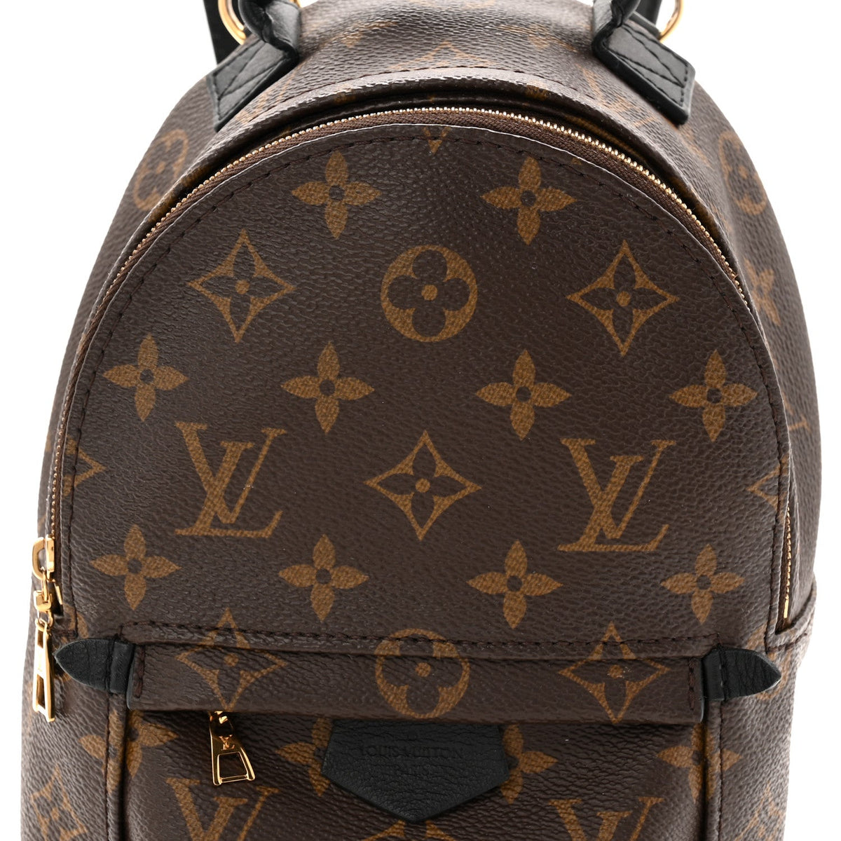 Monogram Palm Springs Backpack Mini
