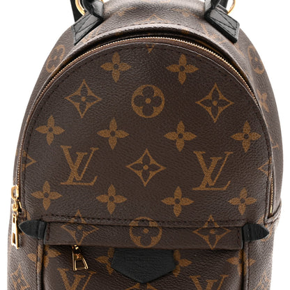 Monogram Palm Springs Backpack Mini