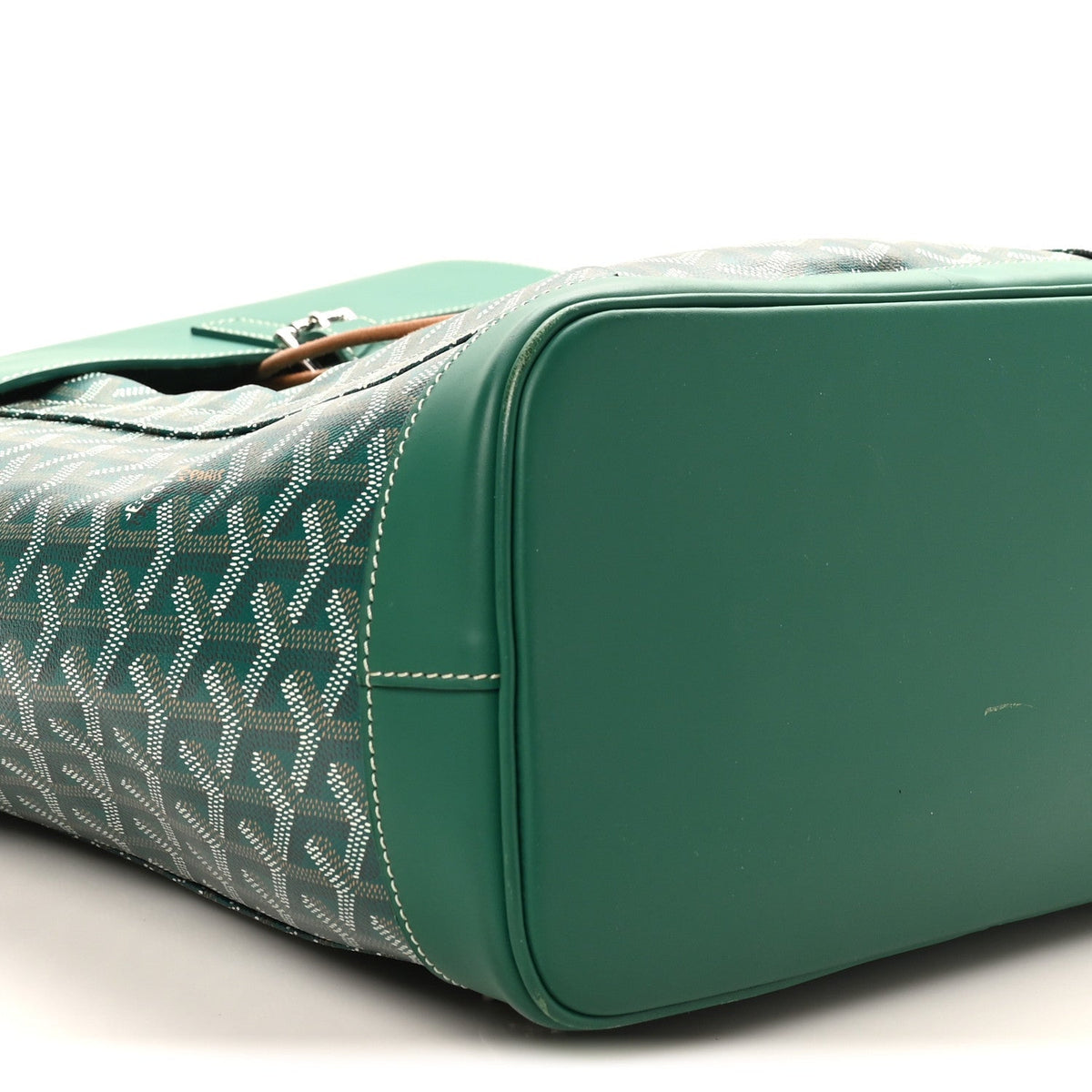 Goyardine Calfskin Alpin MM Backpack Green