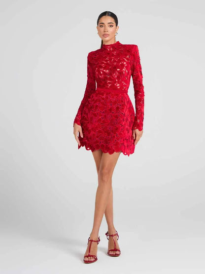 Delaney Long Sleeved Lace Mini Dress