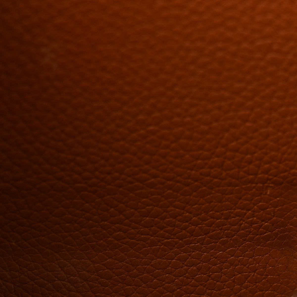Monogram Olympe Camel
