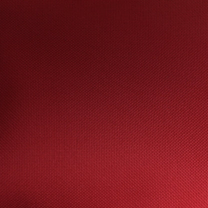 LV X TM Monogram Cerises Speedy Bandouliere 20