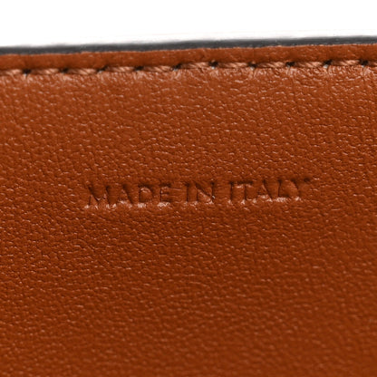 Smooth Calfskin Triomphe Small Louise Bag Tan