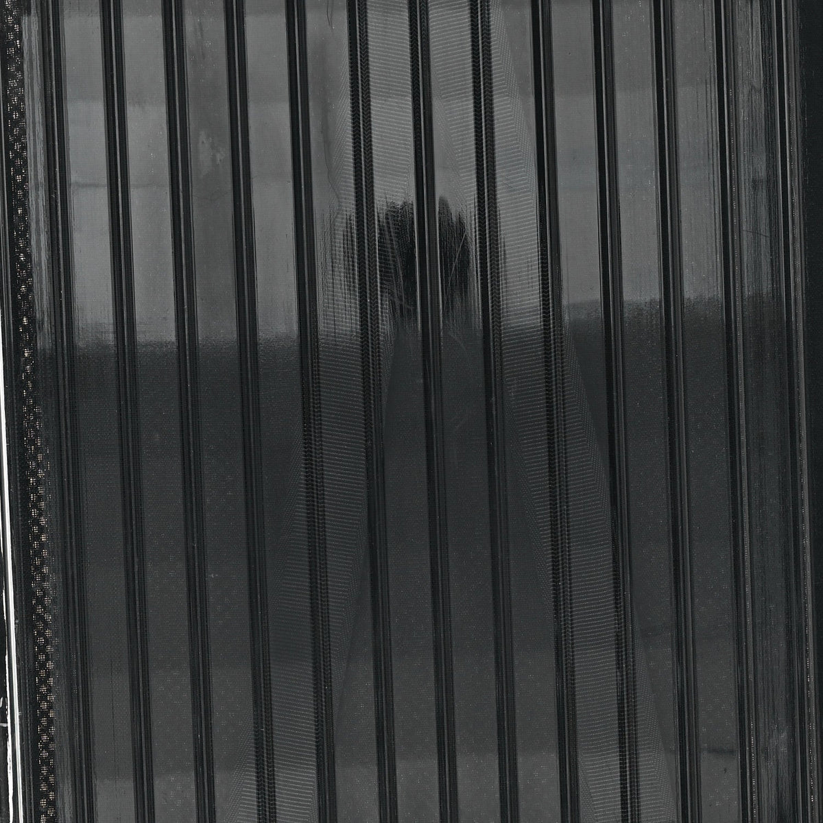 X RIMOWA Polycarbonate Luggage Transparent