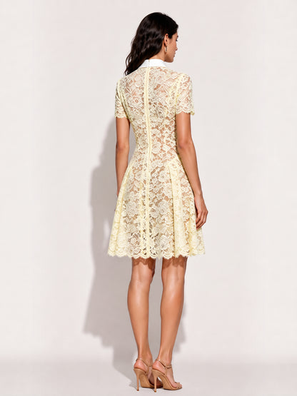 Skylar Collared Lace Mini Dress