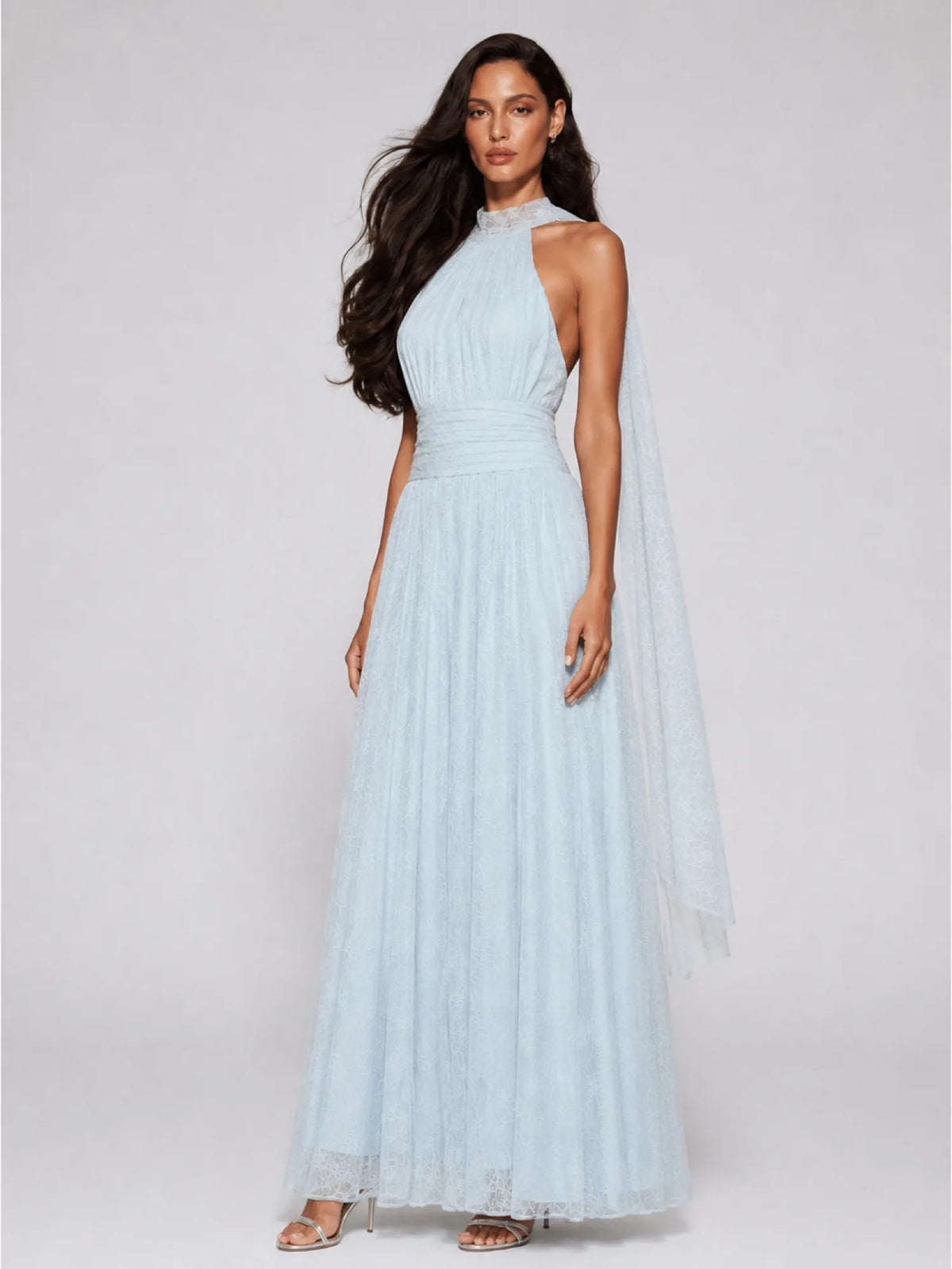 Hannah Flowy Mesh Backless Maxi Dress