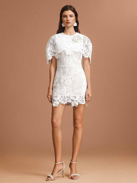 Arabella Round Neck Short Sleeves Lace Mini Dress