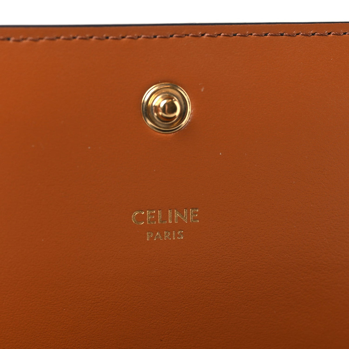 Triomphe Canvas Multipochette Tan
