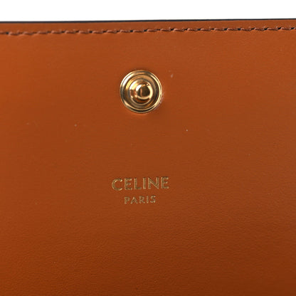Triomphe Canvas Multipochette Tan
